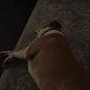 Meet your Posher, Nicholas